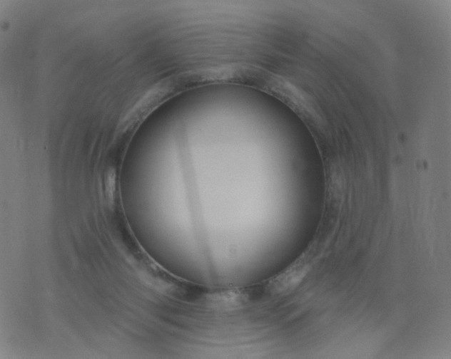 X0000074280118200609081837