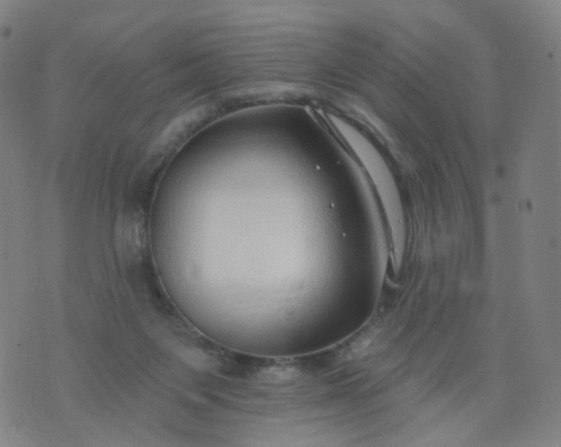 X0000074280119200609081837