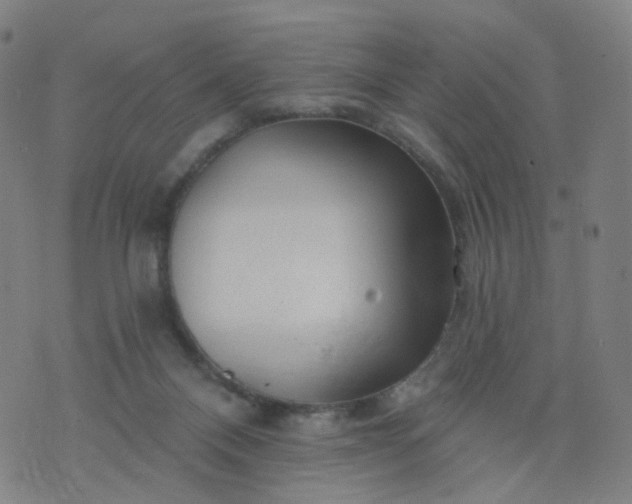 X0000074280120200609081837