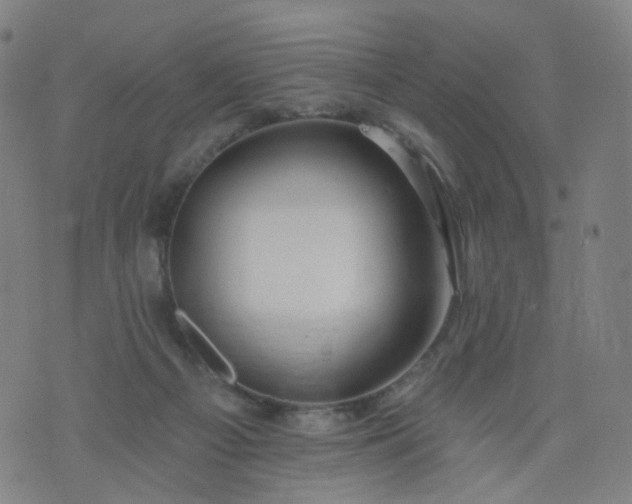 X0000074280121200609081837