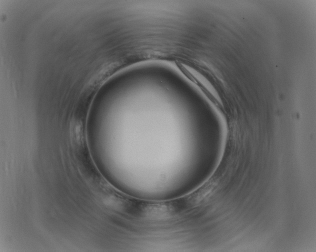 X0000074280123200609081836