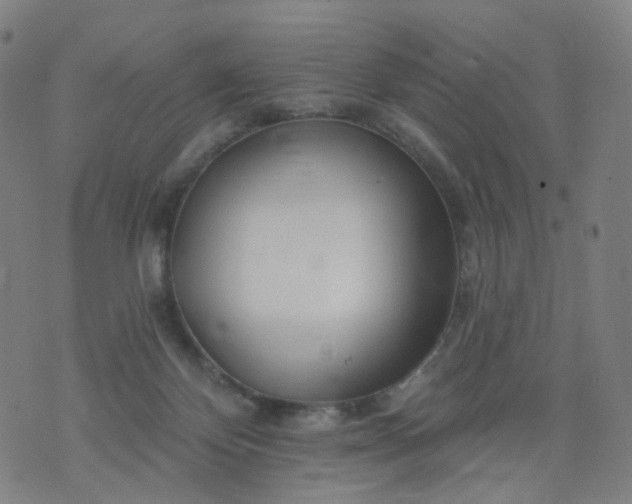 X0000074280124200609081836