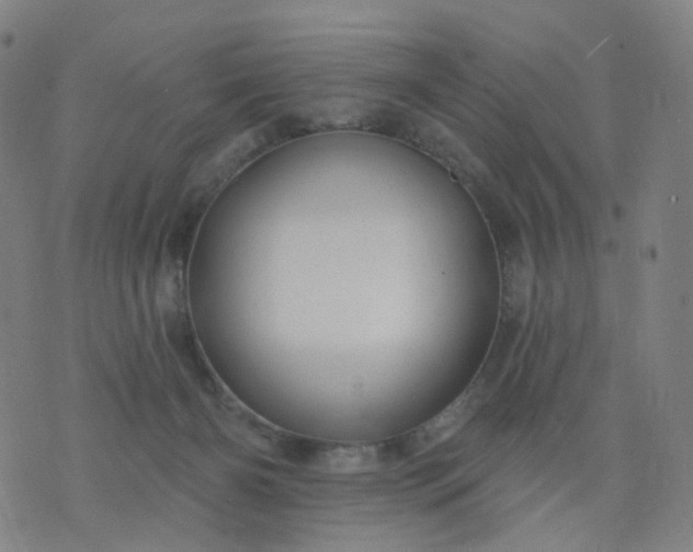 X0000074280126200609081836