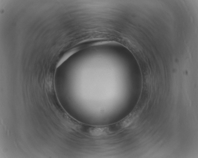 X0000074280129200609081836