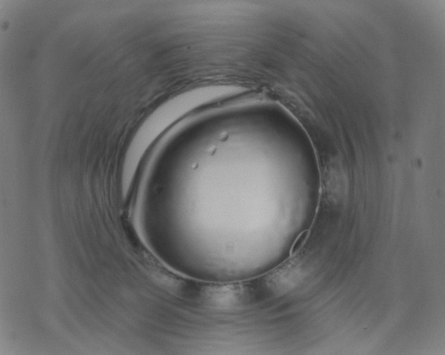 X0000074280131200609081836