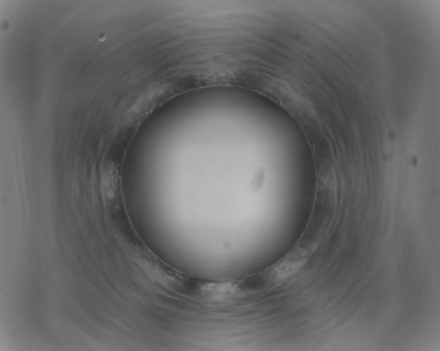 X0000074280133200609081836