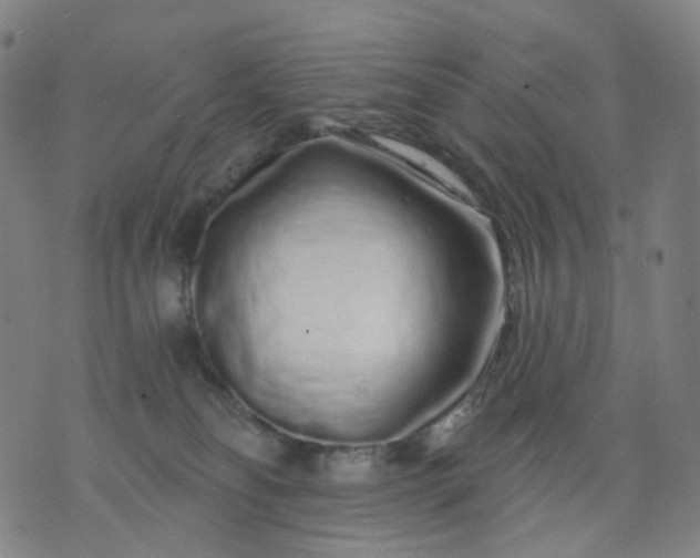 X0000074280134200609081836