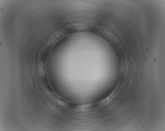 X0000074280136200609081836