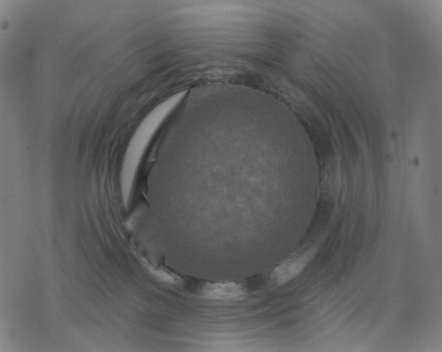 X0000074280137200609081836