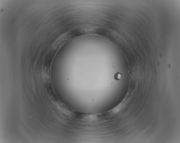 X0000074280140200609081836