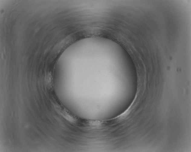 X0000074280144200609081836