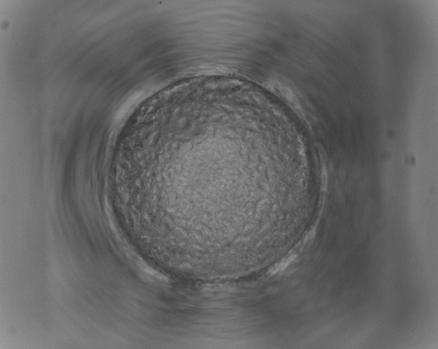 X0000074280145200609081835