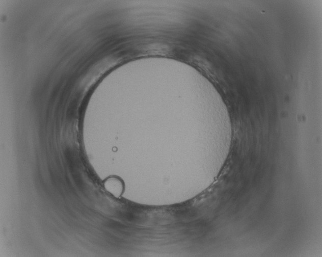 X0000074280146200609081835