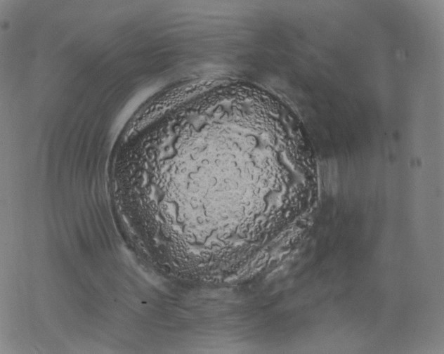 X0000074280147200609081835