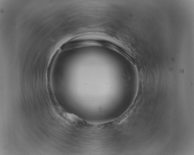 X0000074280148200609081835