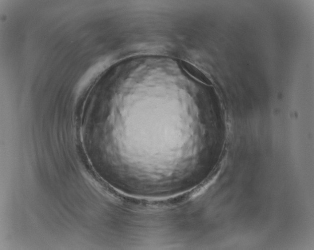 X0000074280149200609081835