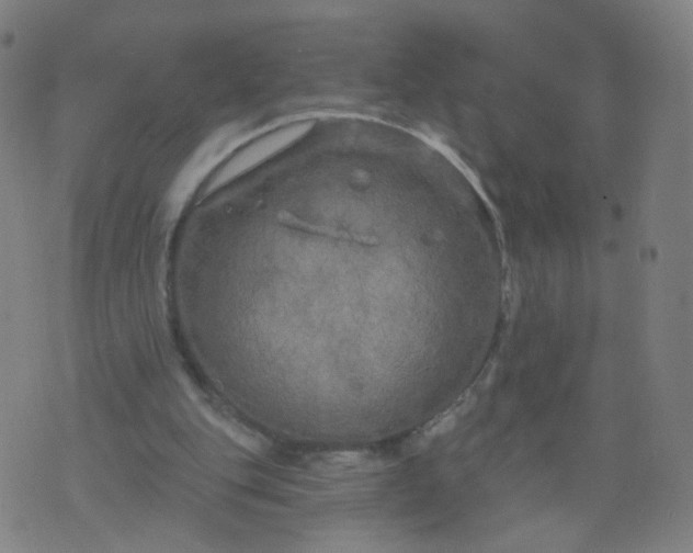 X0000074280151200609081835