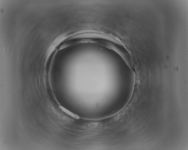 X0000074280152200609081835