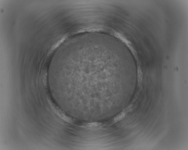 X0000074280153200609081835