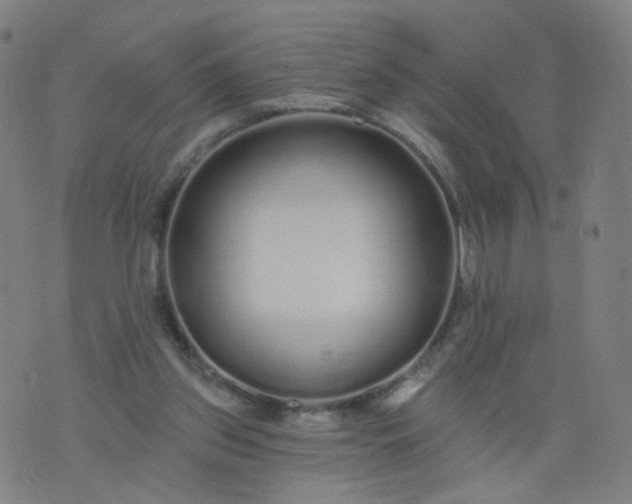 X0000074280157200609081836