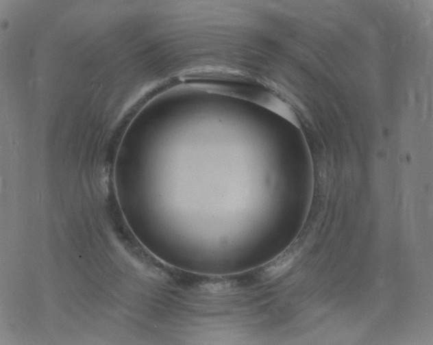 X0000074280160200609081836