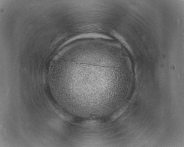 X0000074280161200609081836