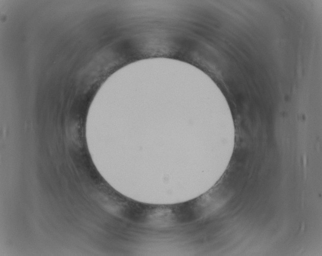 X0000074280162200609081836