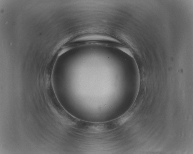 X0000074280164200609081836