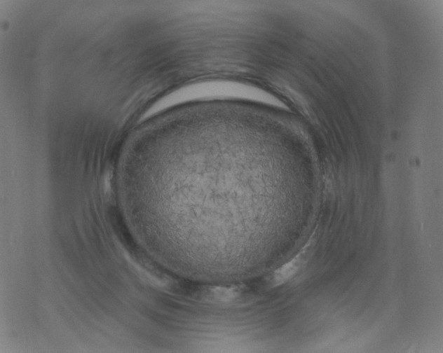 X0000074280166200609081836