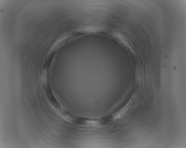 X0000074280167200609081836