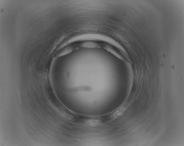 X0000074280168200609081836