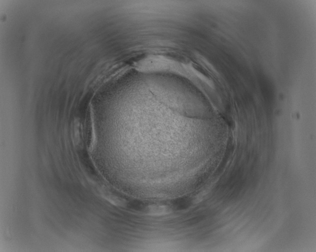 X0000074280169200609081836