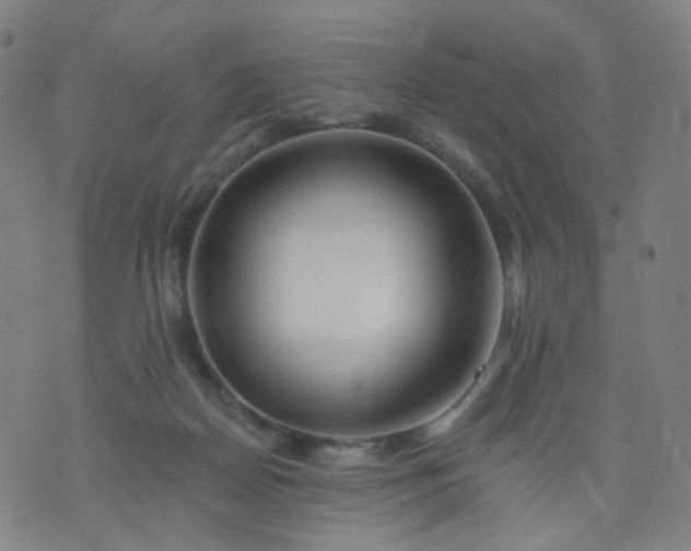 X0000074280170200609081836