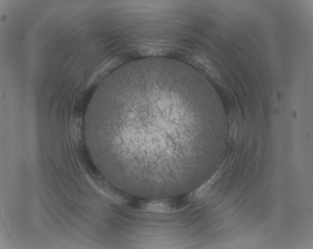 X0000074280171200609081836