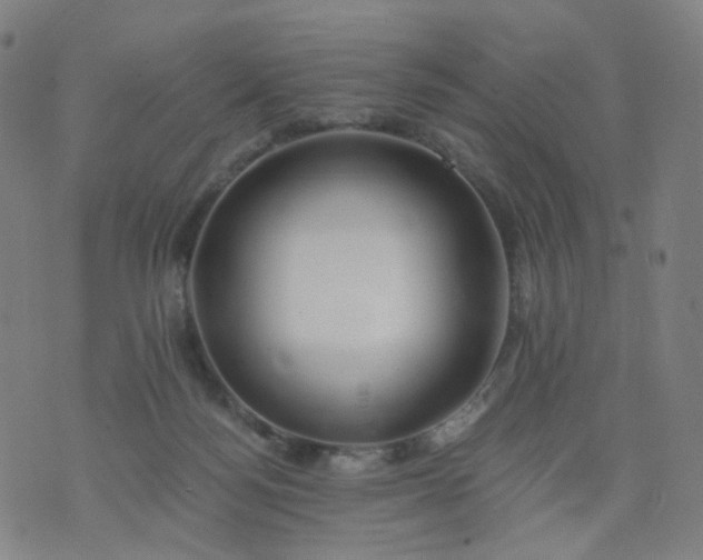 X0000074280172200609081836