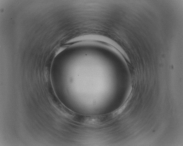 X0000074280174200609081836