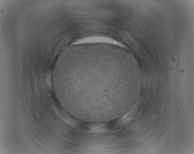 X0000074280175200609081836