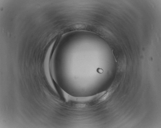 X0000074280176200609081836