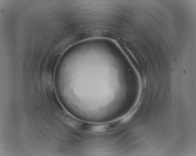 X0000074280178200609081836