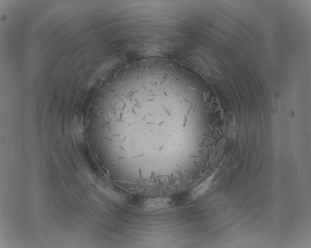 X0000074280179200609081836