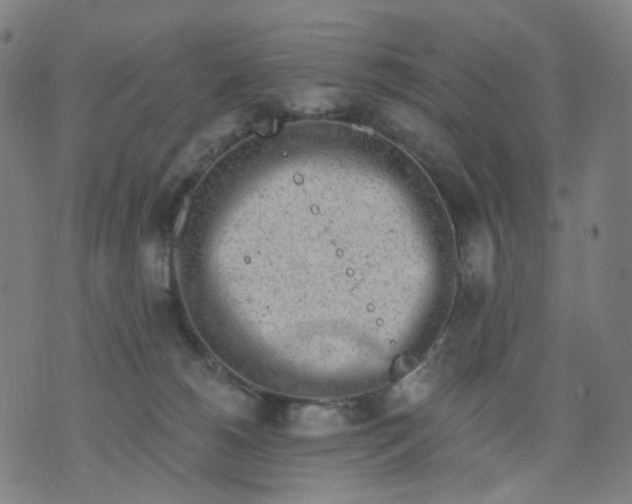 X0000074280180200609081836