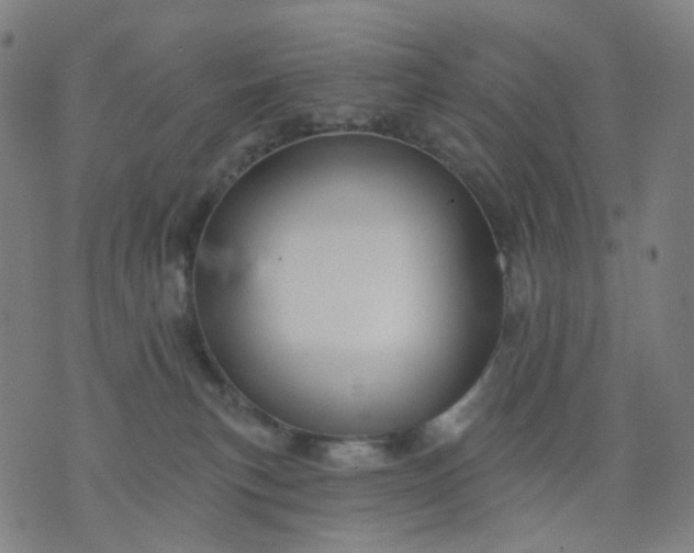 X0000074280183200609081836