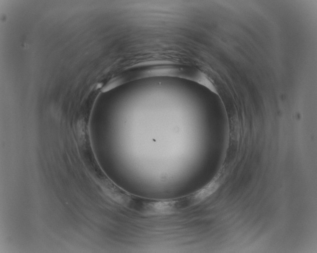 X0000074280184200609081836