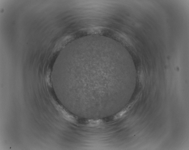 X0000074280185200609081836