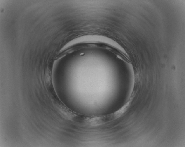 X0000074280186200609081836