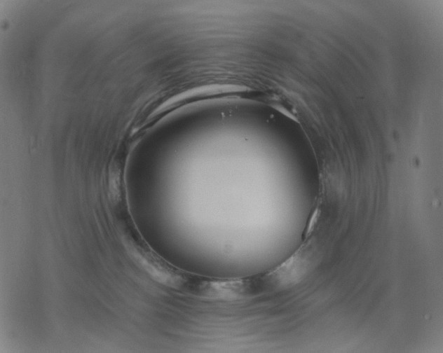 X0000074280188200609081836