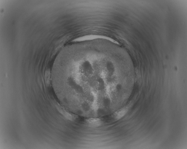 X0000074280189200609081836