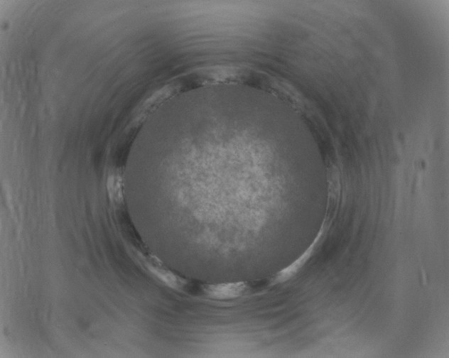 X0000074280191200609081836