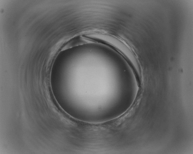 X0000074280193200609081835