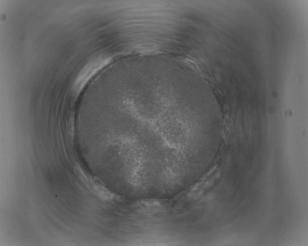 X0000074280194200609081835